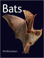 bats1
