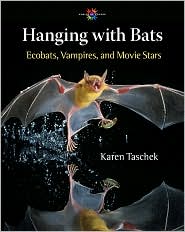 hanging with bats
