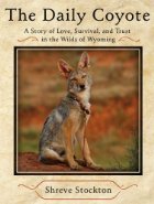 daily coyote