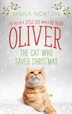 oliver-the-cat