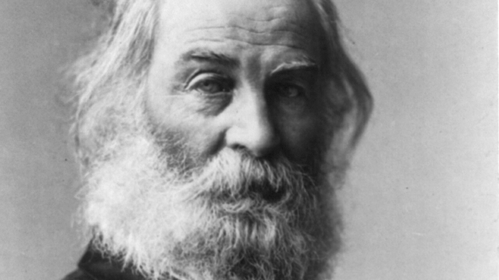 Image result for walt whitman